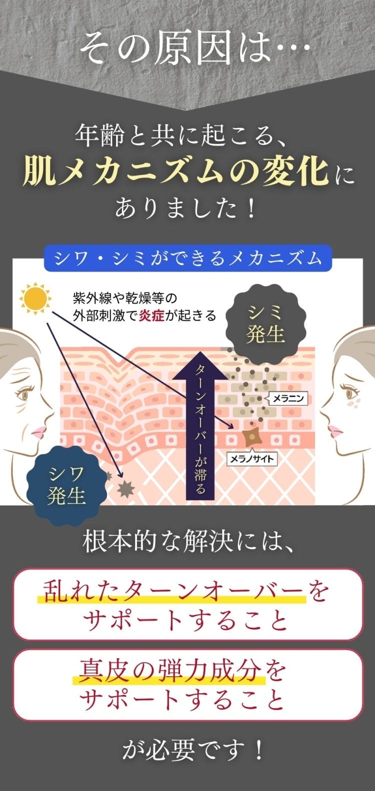 タイムデュウルミリンクル - Dr.Re9公式オンラインショップDr.Re9公式